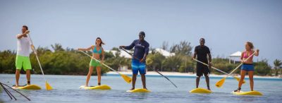 Four people paddle boarding